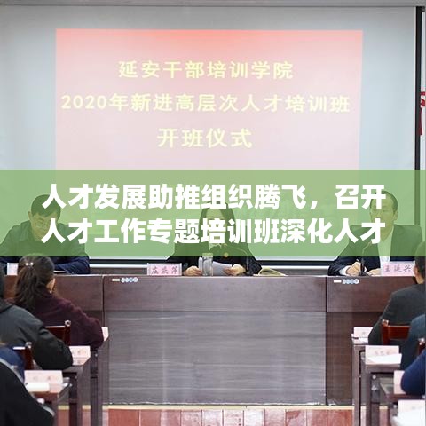 漫天飛舞