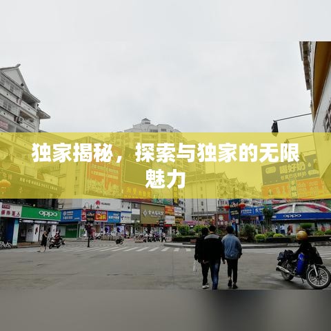 獨家揭秘，探索與獨家的無限魅力
