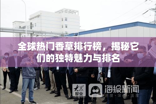全球熱門香草排行榜，揭秘它們的獨特魅力與排名