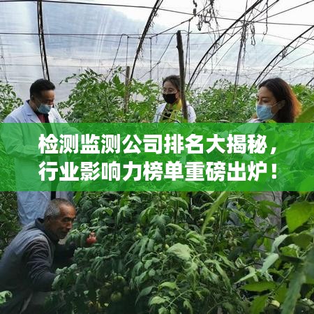 檢測監(jiān)測公司排名大揭秘，行業(yè)影響力榜單重磅出爐！