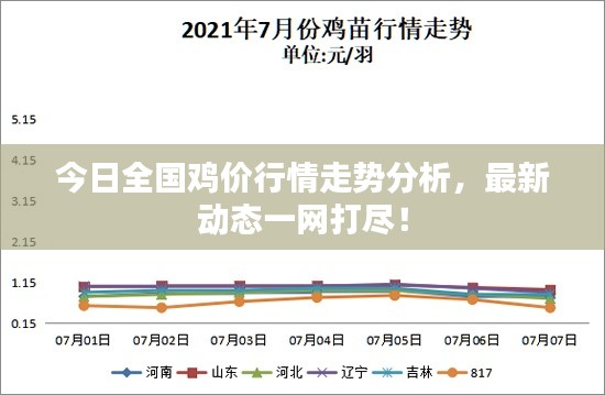 今日全國雞價行情走勢分析，最新動態(tài)一網(wǎng)打盡！