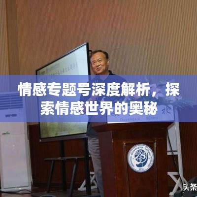 情感專題號深度解析，探索情感世界的奧秘